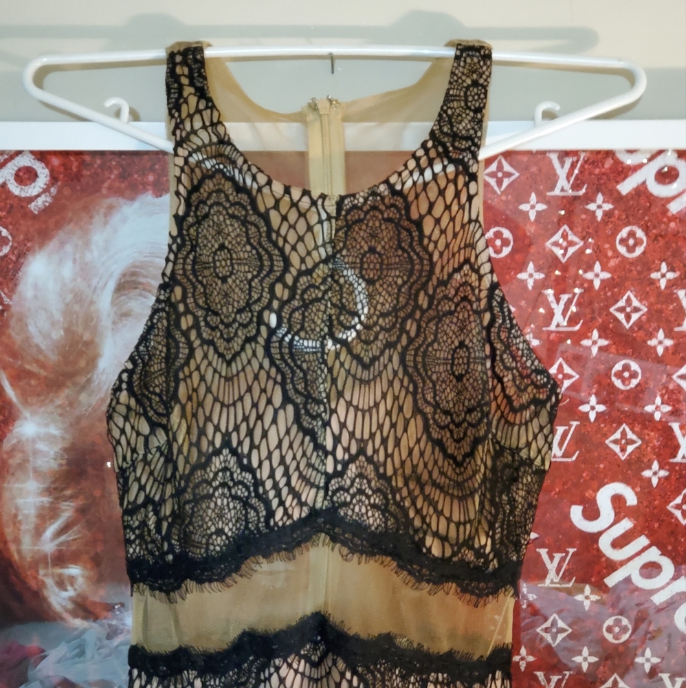 VERY SEXY Morning Mist size 10 Black and Nude  sheer dress 👗